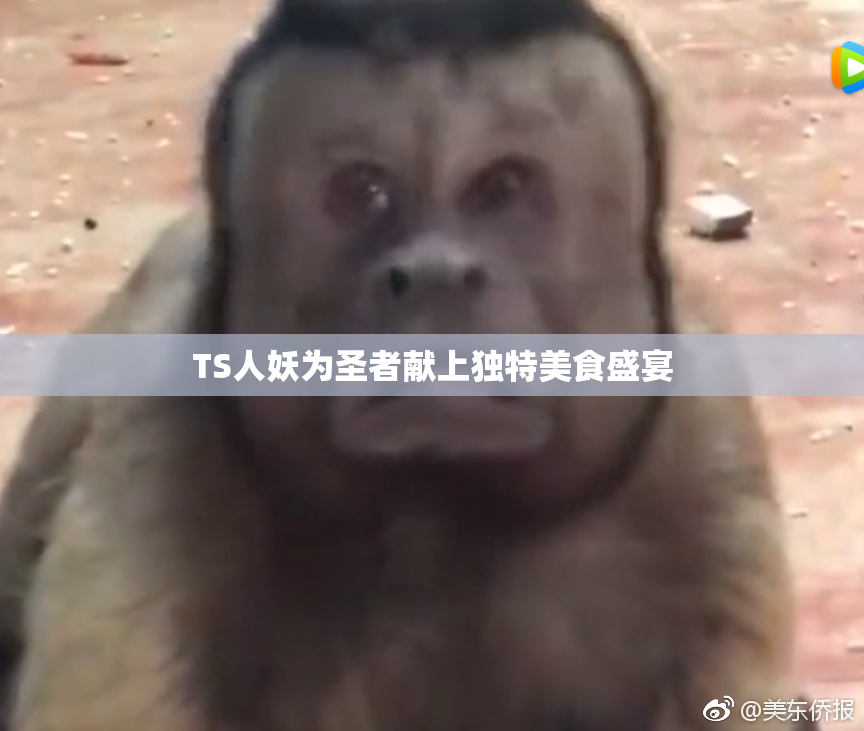 TS人妖为圣者献上独特美食盛宴