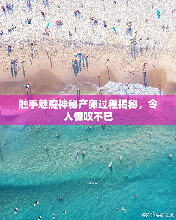 触手魅魔神秘产卵过程揭秘，令人惊叹不已