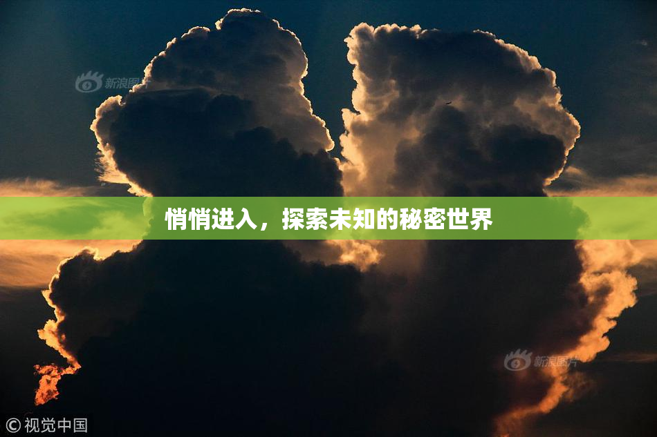 悄悄进入，探索未知的秘密世界
