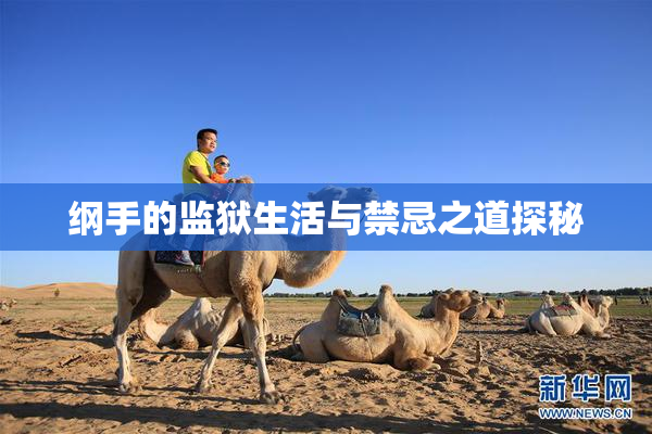 纲手的监狱生活与禁忌之道探秘