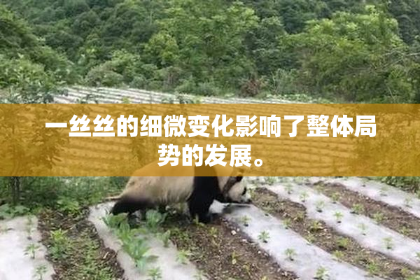 一丝丝的细微变化影响了整体局势的发展。