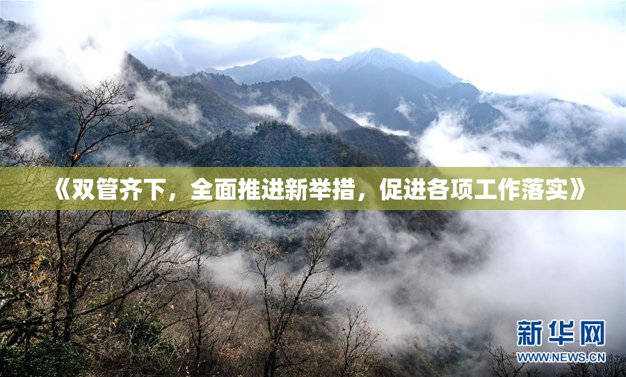 《双管齐下，全面推进新举措，促进各项工作落实》