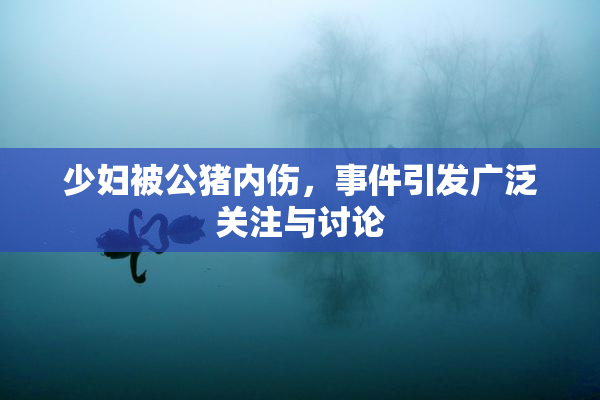 少妇被公猪内伤，事件引发广泛关注与讨论