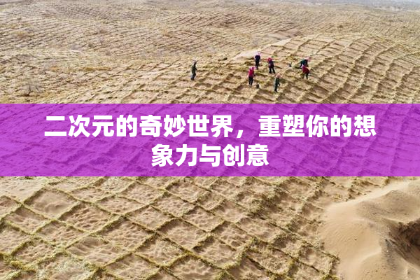 二次元的奇妙世界，重塑你的想象力与创意