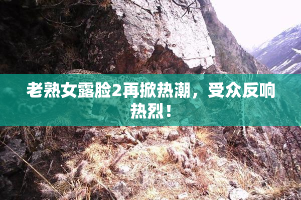 老熟女露脸2再掀热潮，受众反响热烈！