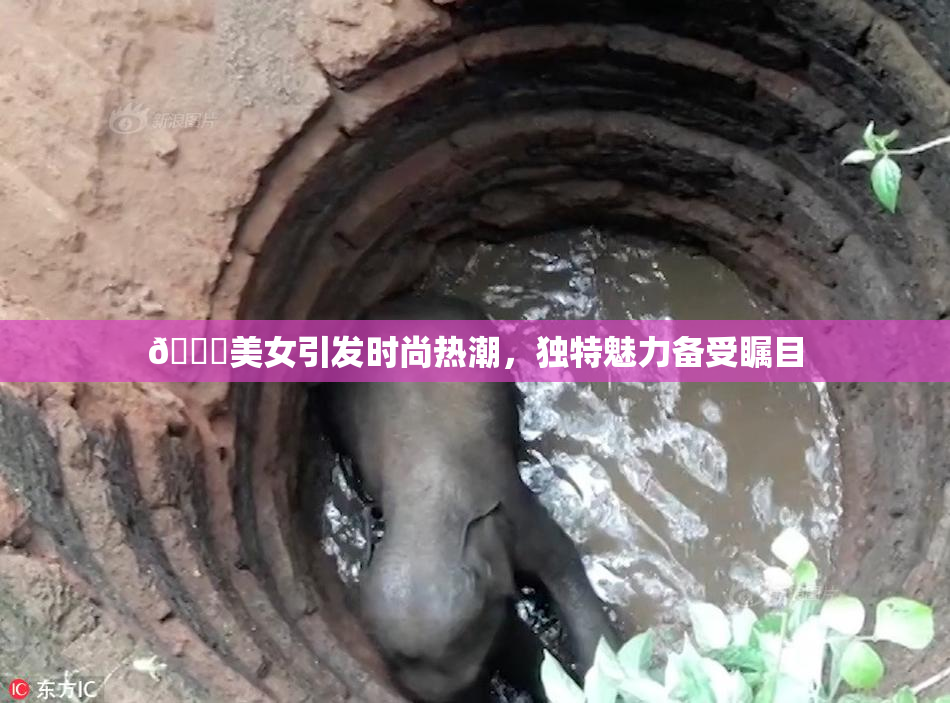 🔞美女引发时尚热潮，独特魅力备受瞩目