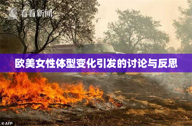 欧美女性体型变化引发的讨论与反思