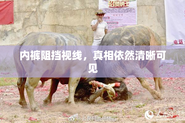 内裤阻挡视线，真相依然清晰可见