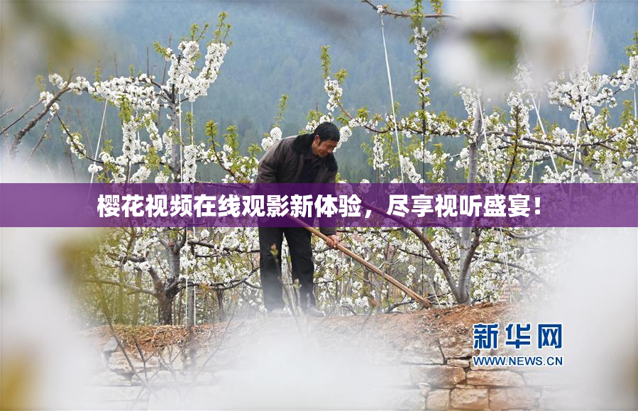 樱花视频在线观影新体验，尽享视听盛宴！