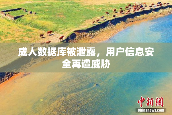 成人数据库被泄露，用户信息安全再遭威胁