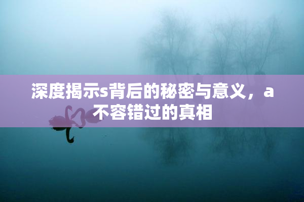 深度揭示s背后的秘密与意义，a不容错过的真相