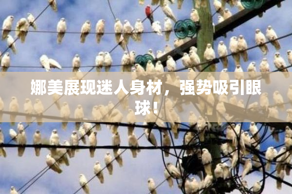 娜美展现迷人身材，强势吸引眼球！
