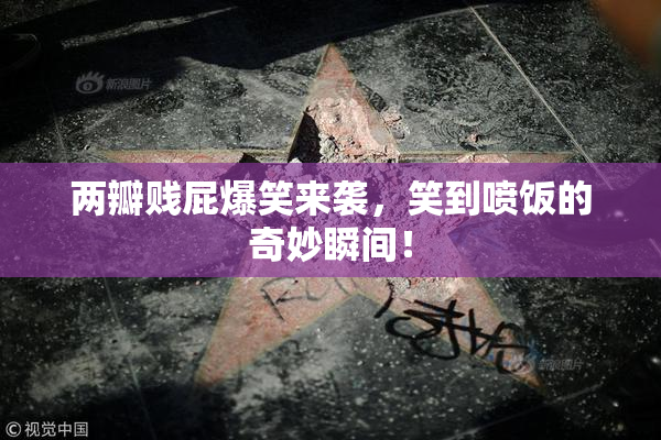 两瓣贱屁爆笑来袭，笑到喷饭的奇妙瞬间！