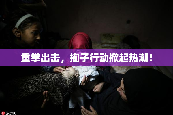 重拳出击，掏子行动掀起热潮！