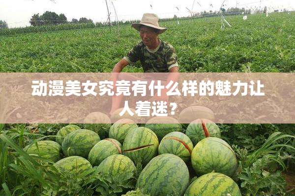 动漫美女究竟有什么样的魅力让人着迷？