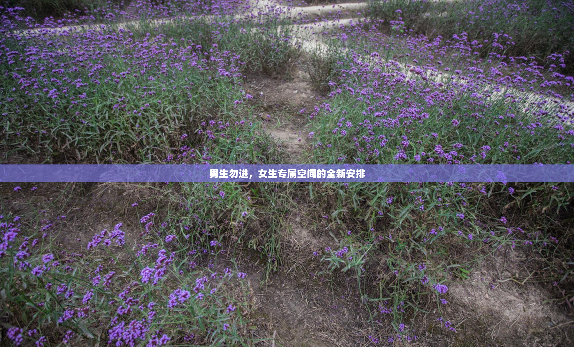 男生勿进，女生专属空间的全新安排