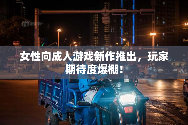 女性向成人游戏新作推出，玩家期待度爆棚！