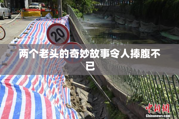 两个老头的奇妙故事令人捧腹不已