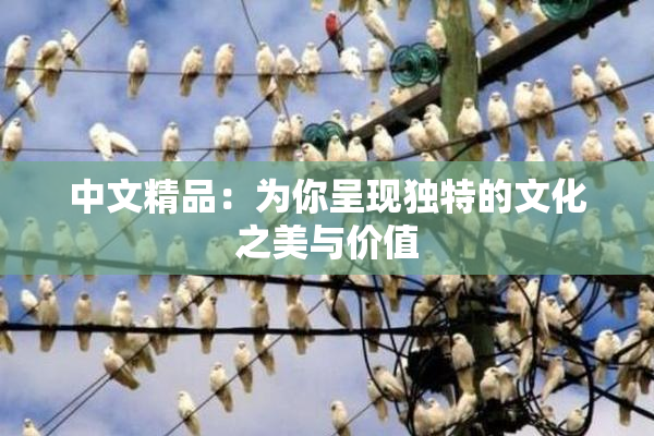 中文精品：为你呈现独特的文化之美与价值