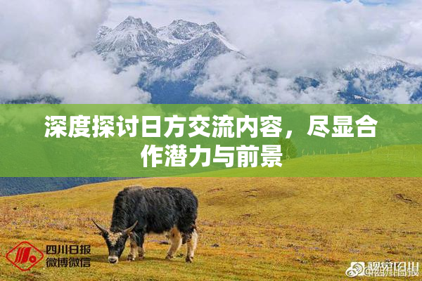 深度探讨日方交流内容，尽显合作潜力与前景