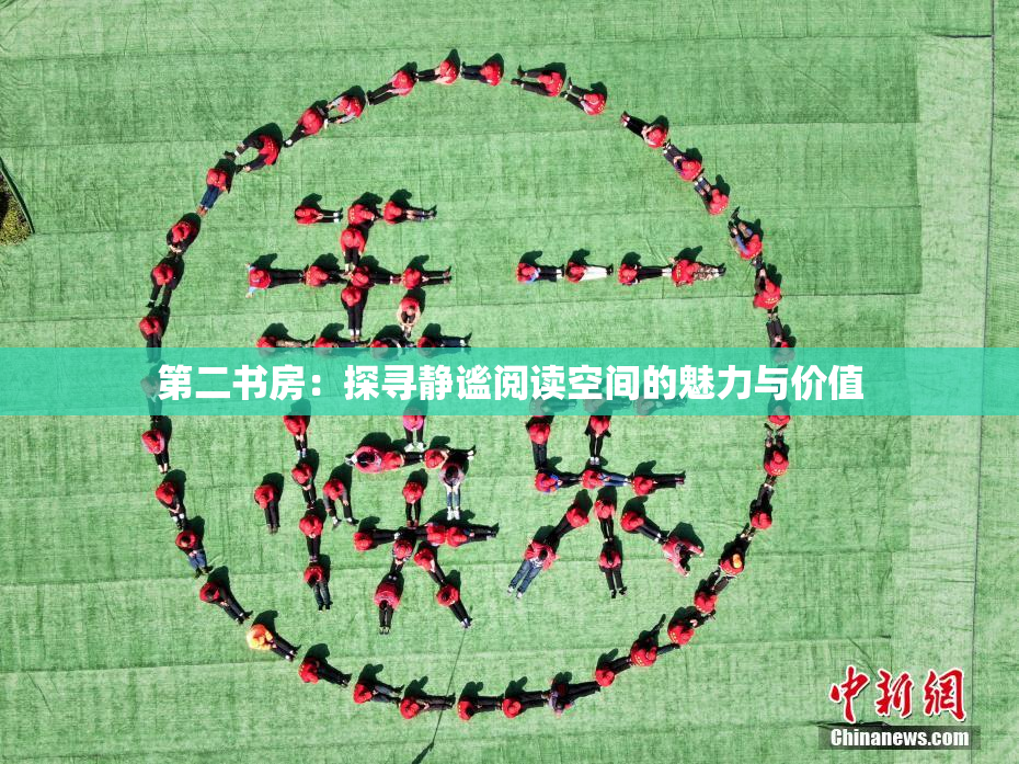 第二书房：探寻静谧阅读空间的魅力与价值