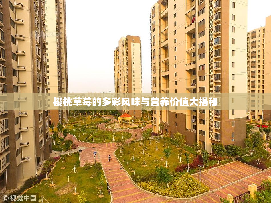 樱桃草莓的多彩风味与营养价值大揭秘