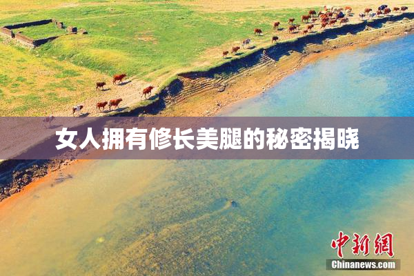 女人拥有修长美腿的秘密揭晓