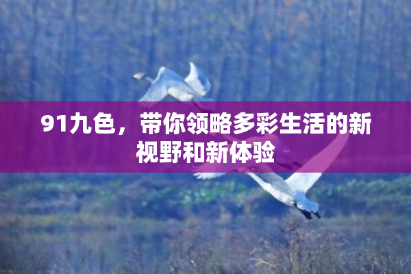 91九色，带你领略多彩生活的新视野和新体验