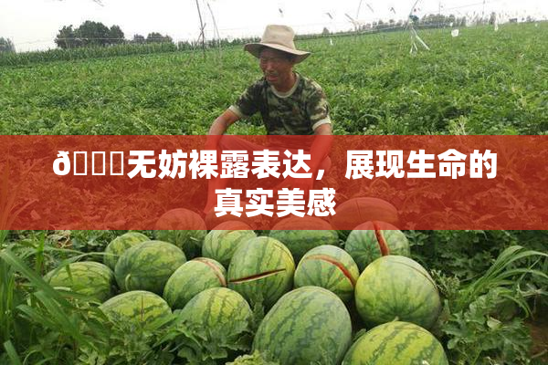 🔞无妨裸露表达，展现生命的真实美感