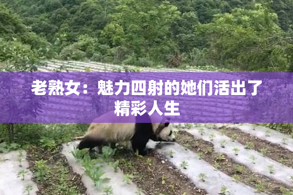 老熟女：魅力四射的她们活出了精彩人生