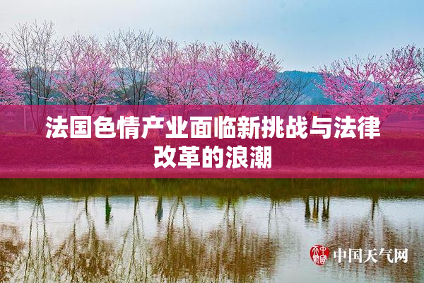 法国色情产业面临新挑战与法律改革的浪潮