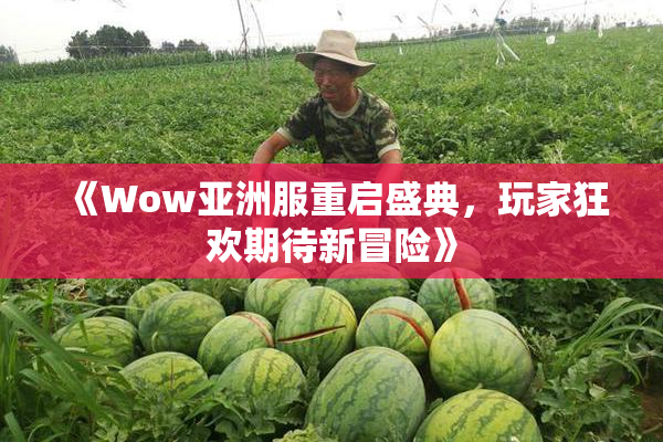 《Wow亚洲服重启盛典，玩家狂欢期待新冒险》