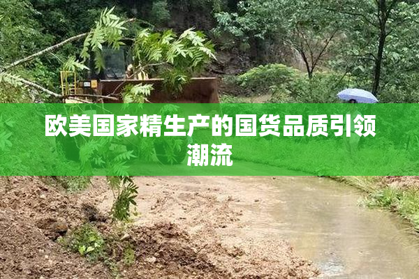 欧美国家精生产的国货品质引领潮流