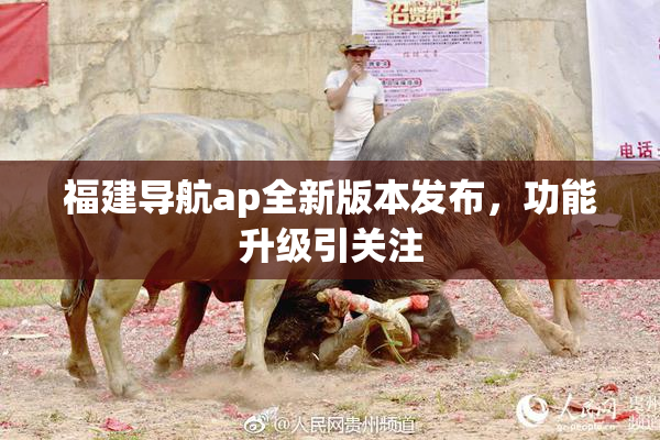 福建导航ap全新版本发布，功能升级引关注