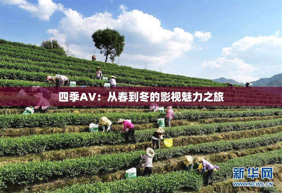 四季AV：从春到冬的影视魅力之旅