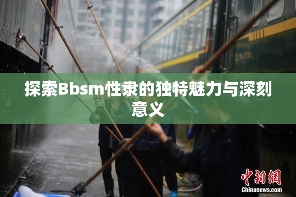探索Bbsm性隶的独特魅力与深刻意义