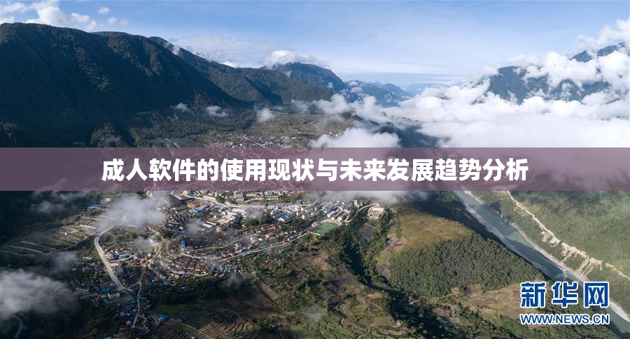 成人软件的使用现状与未来发展趋势分析