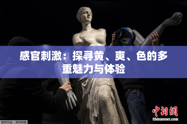 感官刺激：探寻黄、爽、色的多重魅力与体验