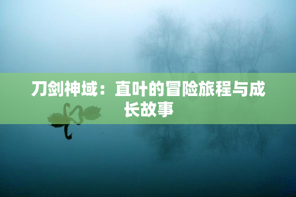 刀剑神域：直叶的冒险旅程与成长故事