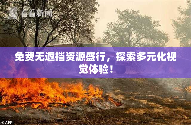 免费无遮挡资源盛行，探索多元化视觉体验！