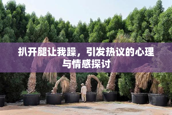 扒开腿让我躁，引发热议的心理与情感探讨
