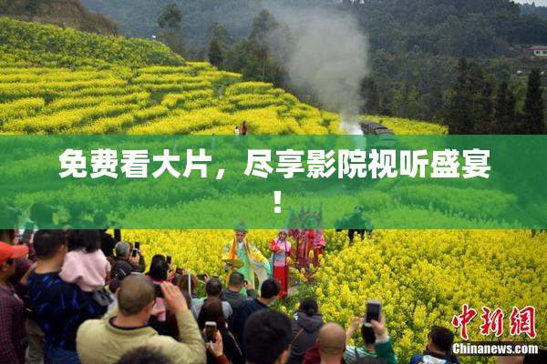 免费看大片，尽享影院视听盛宴！