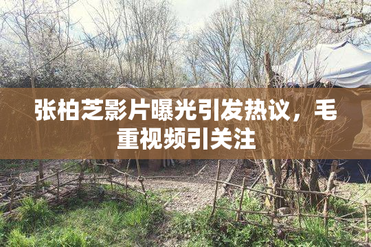 张柏芝影片曝光引发热议，毛重视频引关注