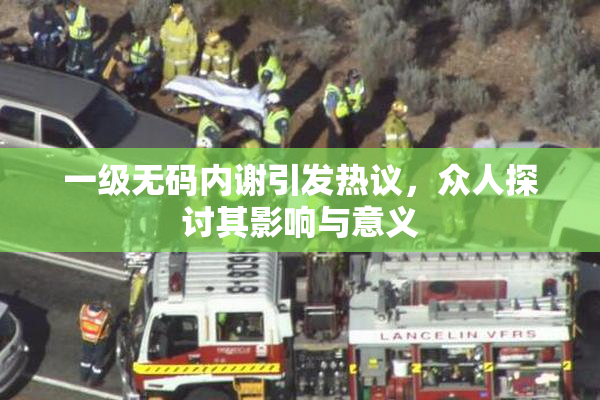 一级无码内谢引发热议，众人探讨其影响与意义