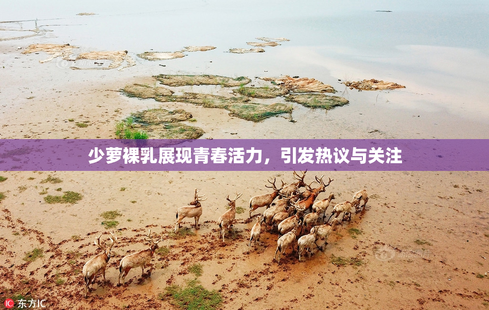 少萝裸乳展现青春活力，引发热议与关注