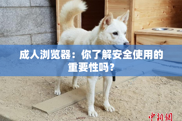 成人浏览器：你了解安全使用的重要性吗？