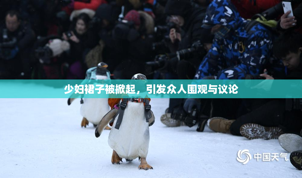 少妇裙子被掀起，引发众人围观与议论