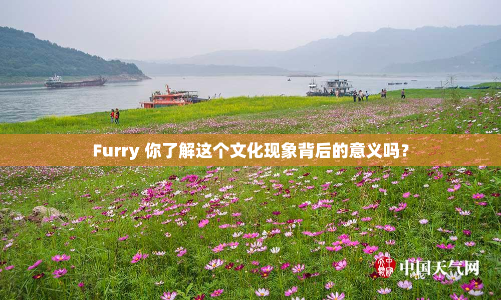 Furry 你了解这个文化现象背后的意义吗？