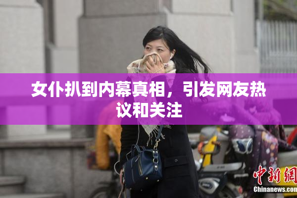 女仆扒到内幕真相，引发网友热议和关注