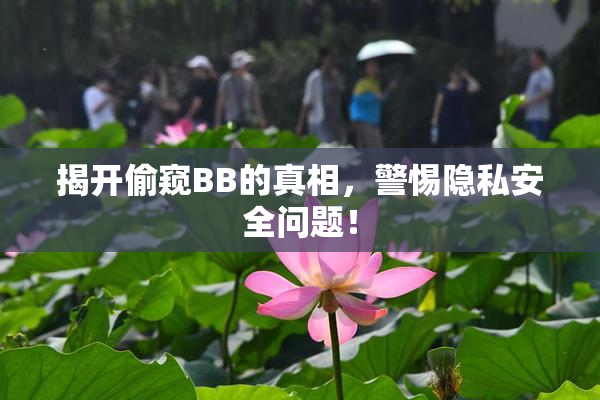 揭开偷窥BB的真相，警惕隐私安全问题！